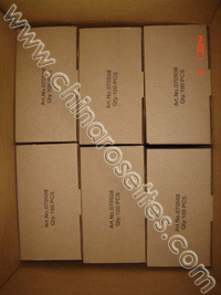 Inner Boxes in Export Carton